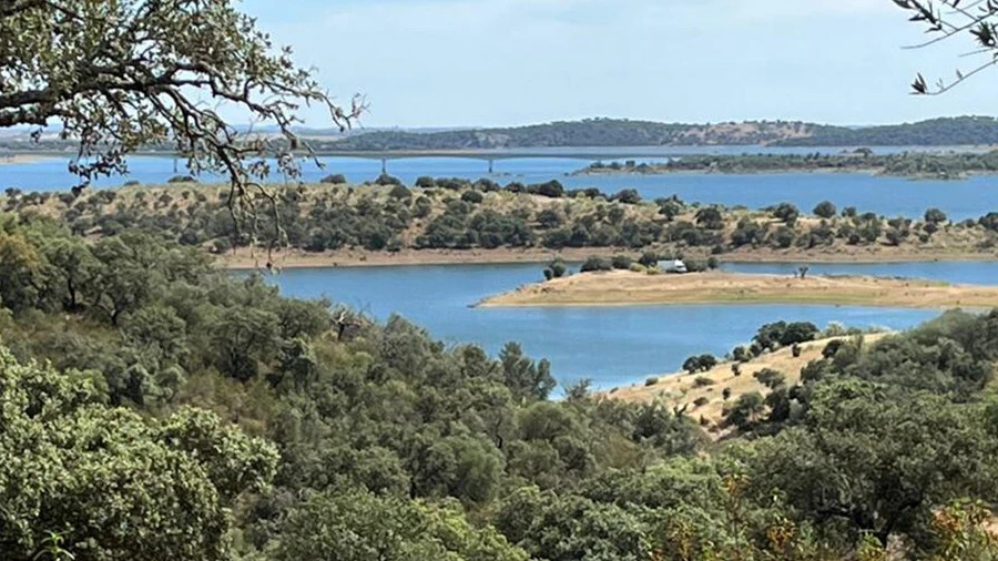 Terreno para Venda em Reguengos de Monsaraz