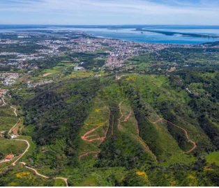 Terreno para Venda em Palmela