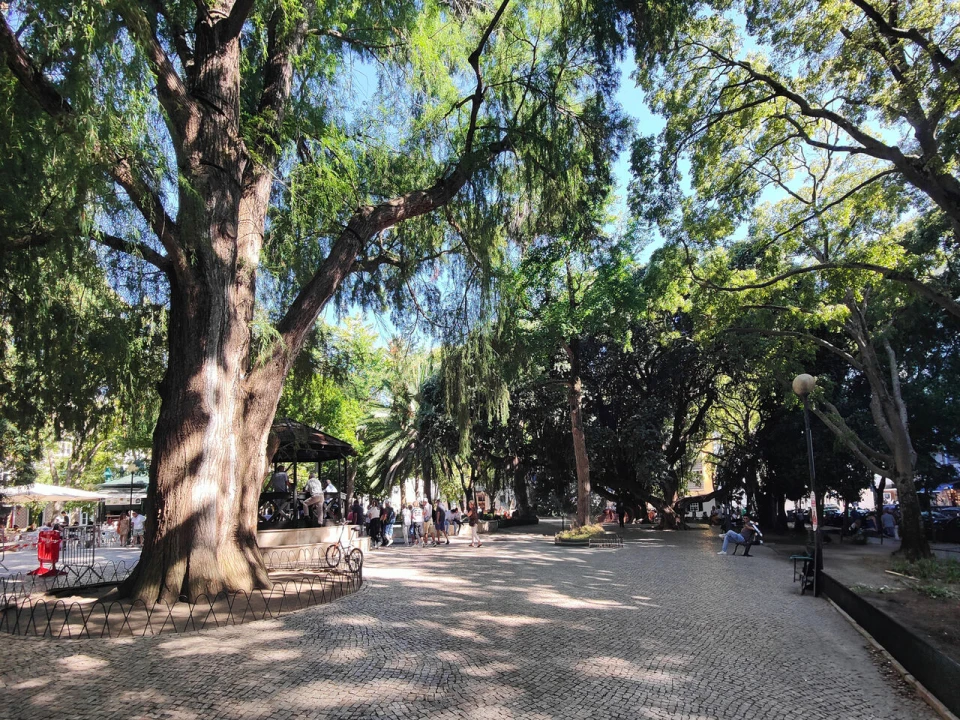 Apartamento T1 para Venda em Campo de Ourique Foto 8