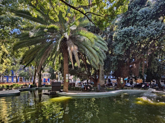 Apartamento T0 para Venda em Campo de Ourique Foto 6