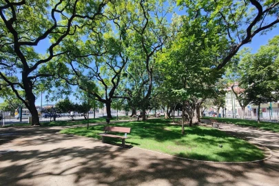 Apartamento T2 para Venda em Estrela
