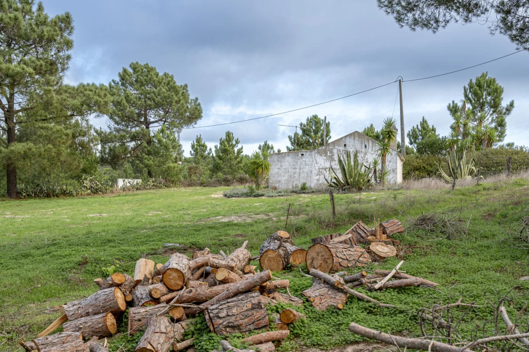 Moradia T4 para Venda em Melides Foto 5