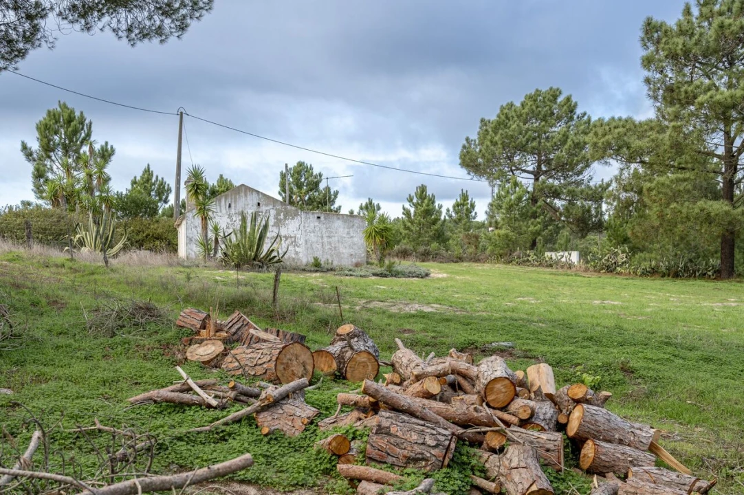 Moradia T4 para Venda em Melides Foto 18