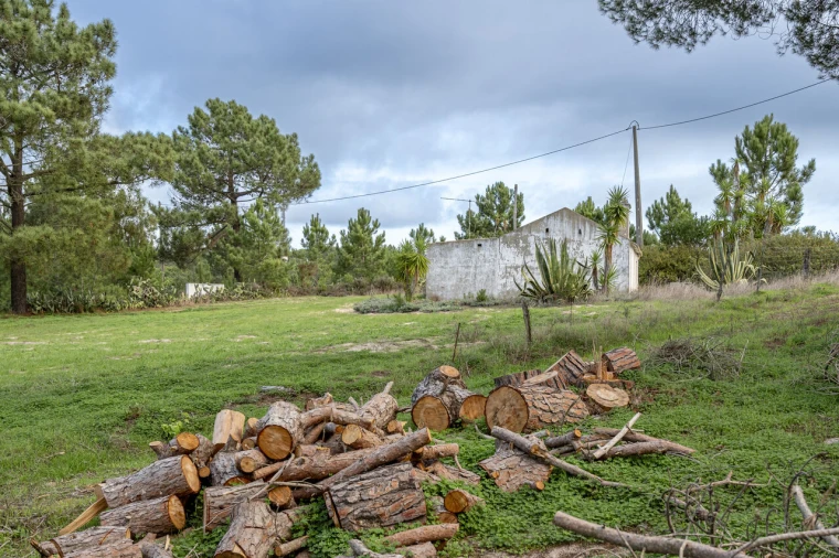 Moradia T4 para Venda em Melides Foto 5