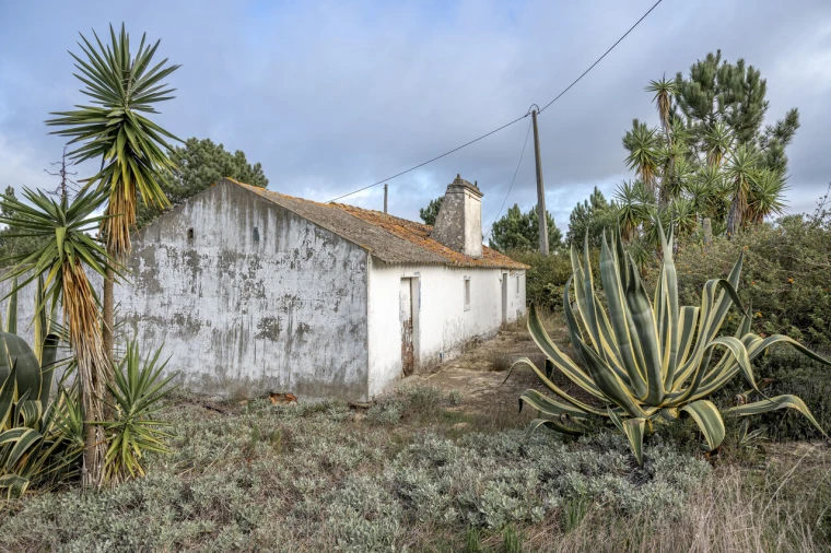 Moradia T4 para Venda em Melides Foto 6