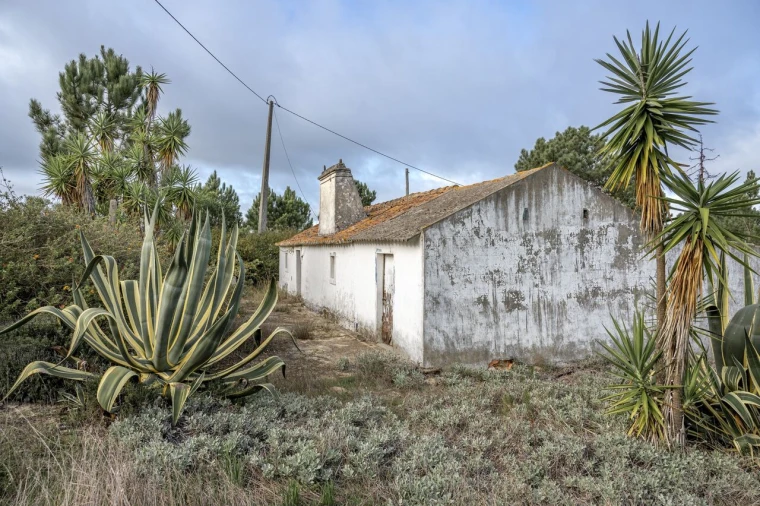 Moradia T4 para Venda em Melides Foto 20