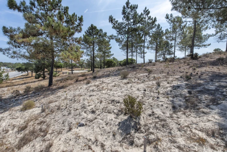 Terreno para Venda em Carvalhal Foto 6