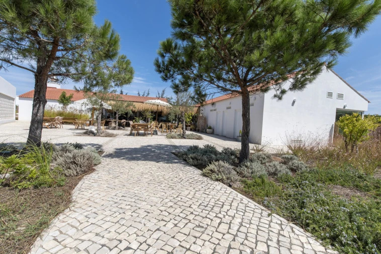 Terreno para Venda em Carvalhal Foto 22