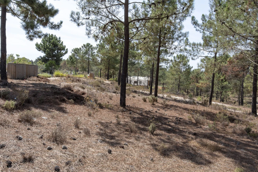 Terreno para Venda em Carvalhal Foto 6