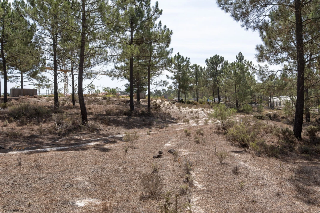 Terreno para Venda em Carvalhal Foto 5