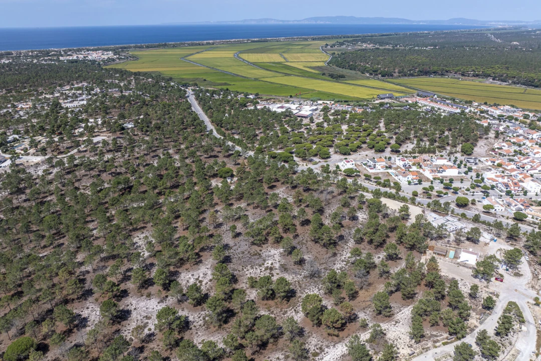 Terreno para Venda em Carvalhal Foto 10