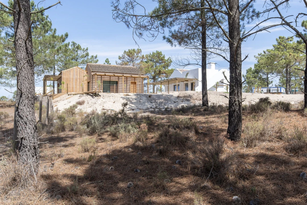 Terreno para Venda em Carvalhal Foto 18