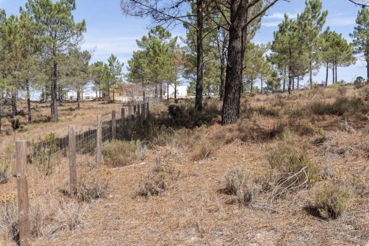 Terreno para Venda em Carvalhal Foto 4