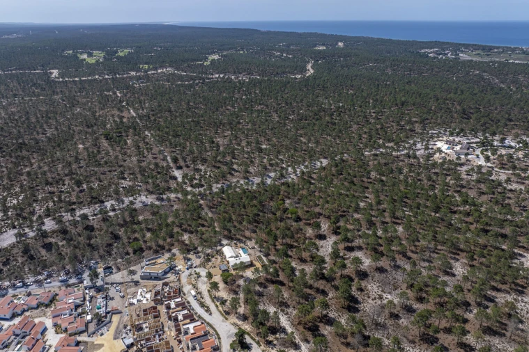 Terreno para Venda em Carvalhal Foto 9