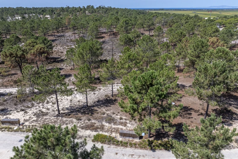 Terreno para Venda em Carvalhal Foto 7