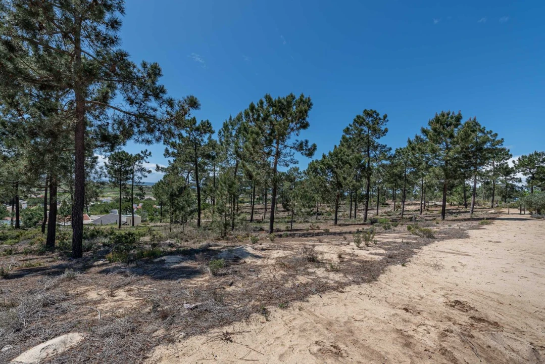 Terreno para Venda em Carvalhal Foto 11