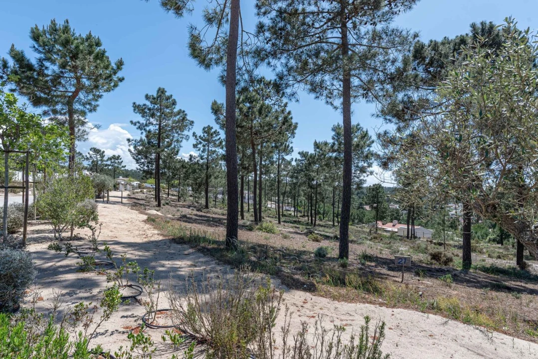 Terreno para Venda em Carvalhal Foto 13