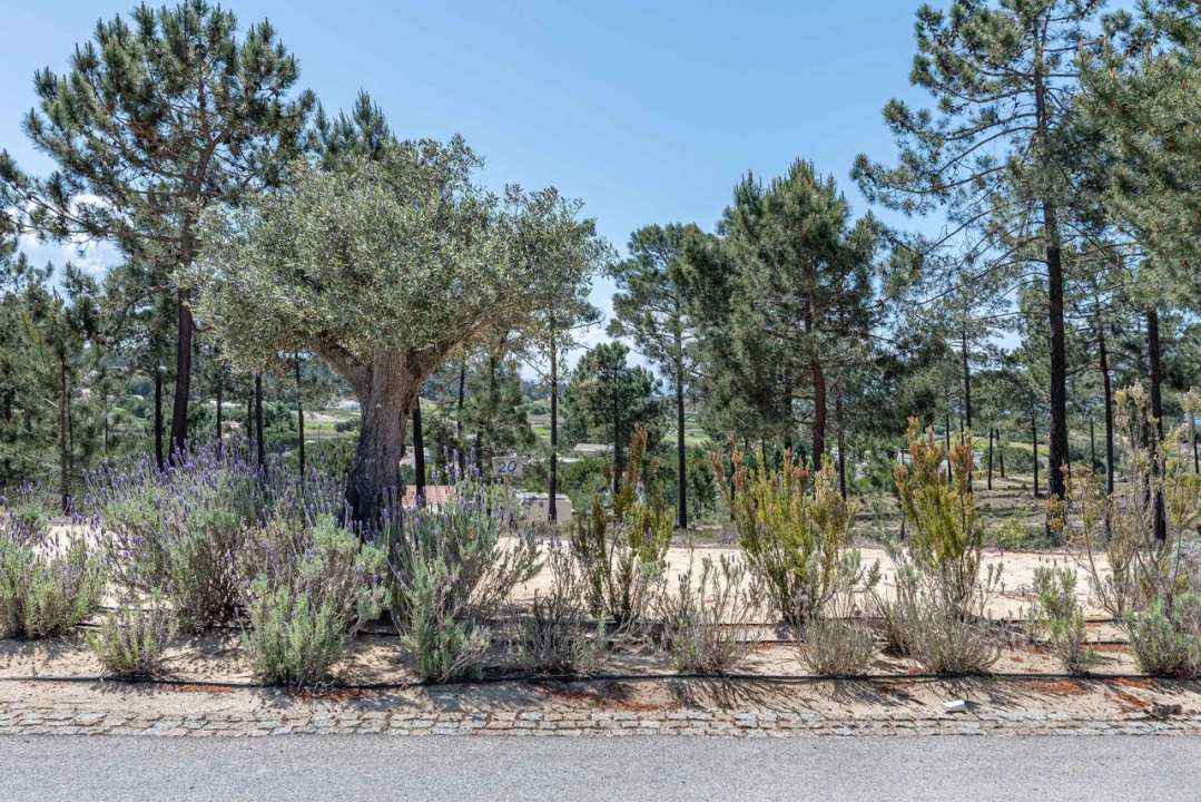 Terreno para Venda em Carvalhal Foto 14