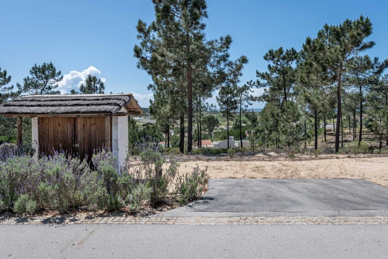 Terreno para Venda em Carvalhal Foto 9