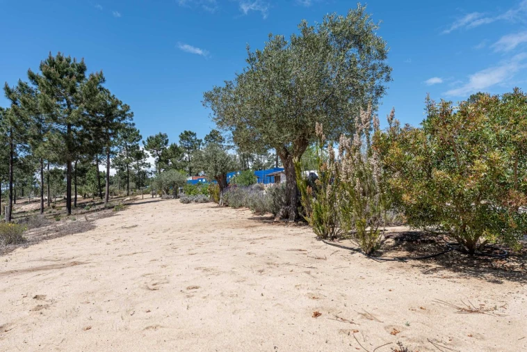 Terreno para Venda em Carvalhal Foto 10