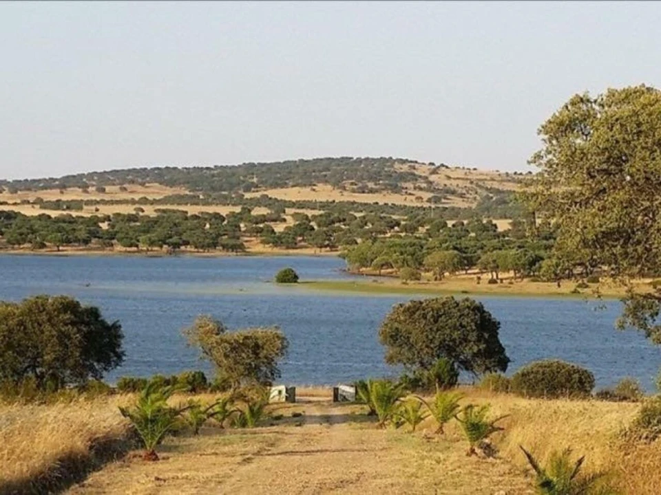 Quinta T6 para Venda em Alcaçovas Foto 18