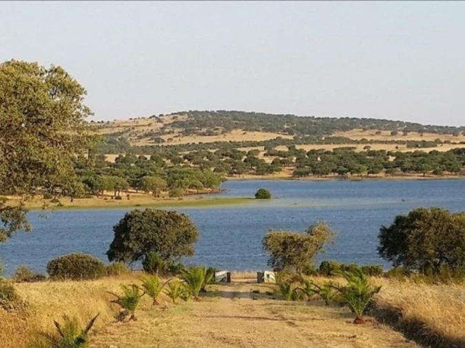 Quinta T6 para Venda em Alcaçovas Foto 21