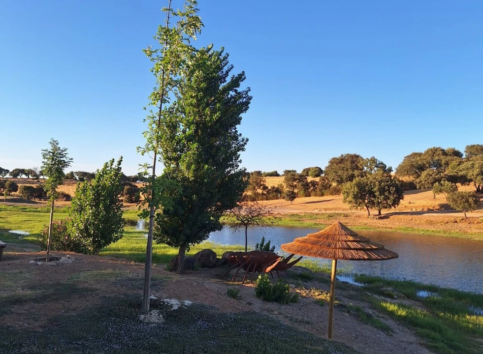 Moradia T2 para Venda em Terena (São Pedro) Foto 5