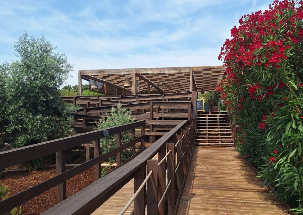 Moradia T2 para Venda em Terena (São Pedro) Foto 6