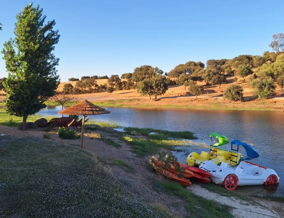 Moradia T2 para Venda em Terena (São Pedro) Foto 13