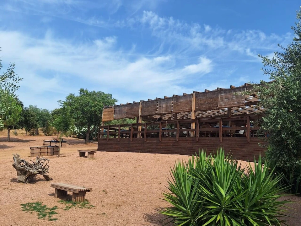 Moradia T2 para Venda em Terena (São Pedro) Foto 15