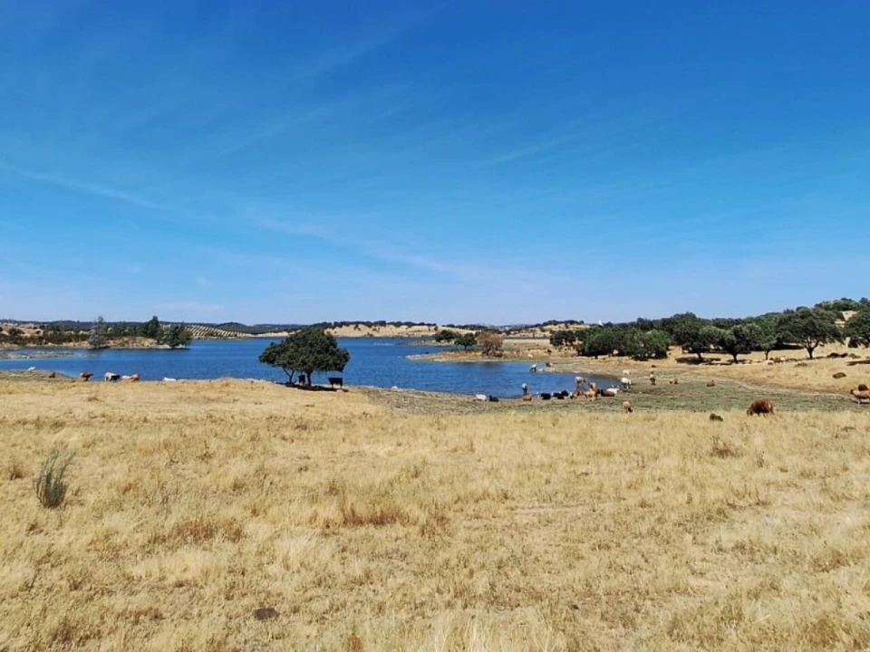 Moradia T2 para Venda em Terena (São Pedro) Foto 23