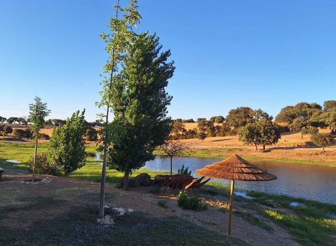 Moradia T2 para Venda em Terena (São Pedro) Foto 5