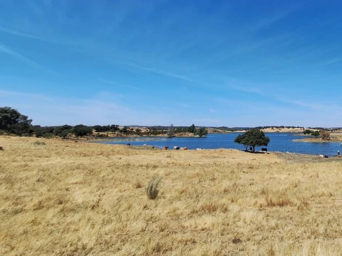 Moradia T2 para Venda em Terena (São Pedro) Foto 12