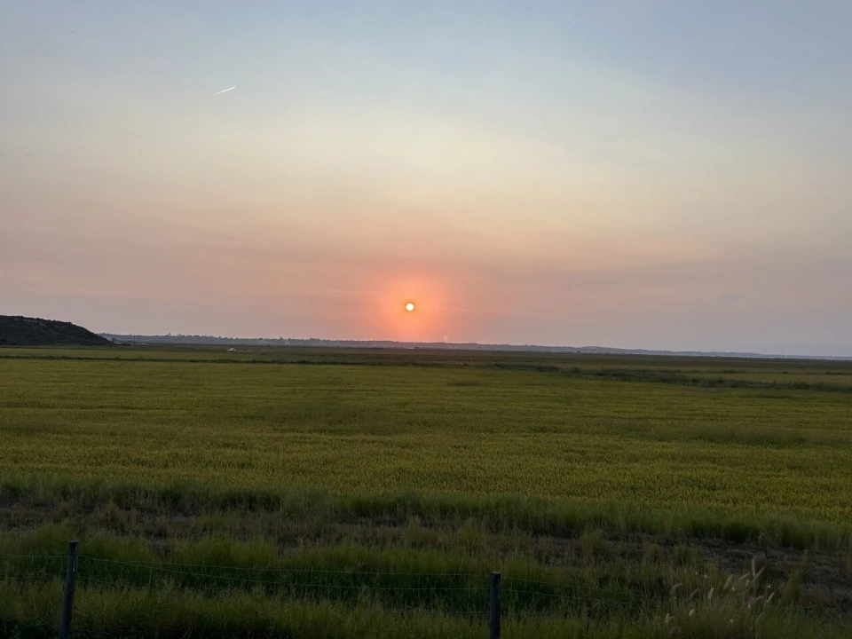 Moradia T4 para Venda em Comporta Foto 20