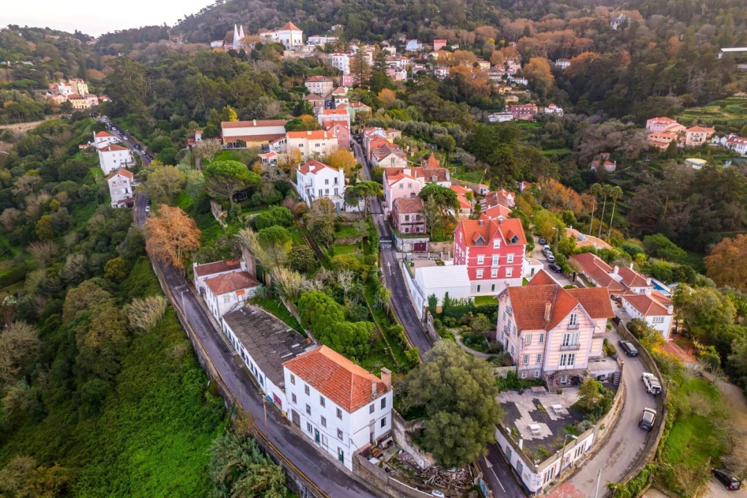 Negócio para Venda em Santa Maria e São Miguel, São Martinho, São Pedro Penaferrim Foto 16