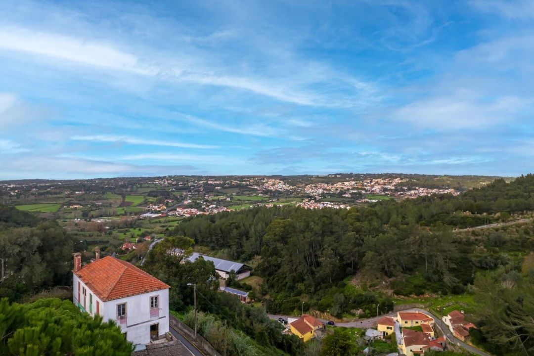 Negócio para Venda em Santa Maria e São Miguel, São Martinho, São Pedro Penaferrim Foto 23