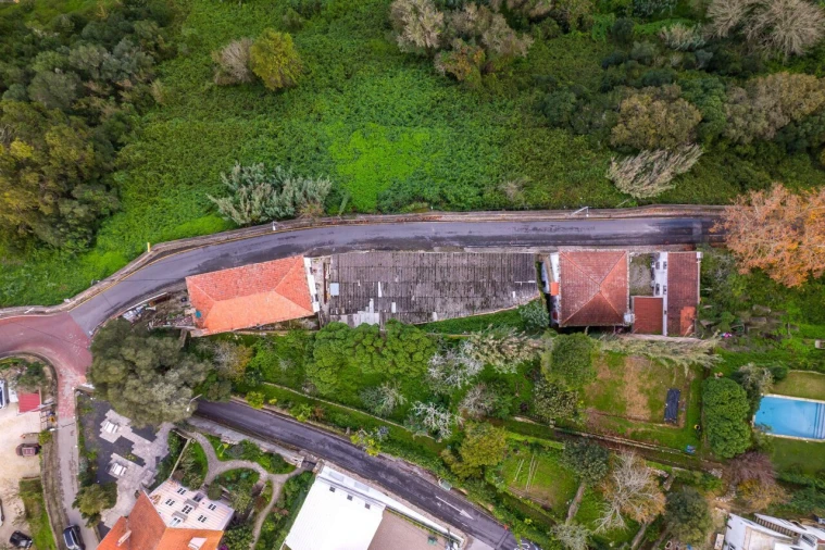 Negócio para Venda em Santa Maria e São Miguel, São Martinho, São Pedro Penaferrim Foto 21