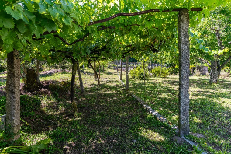 Quinta T6 para Venda em Galegos Foto 62