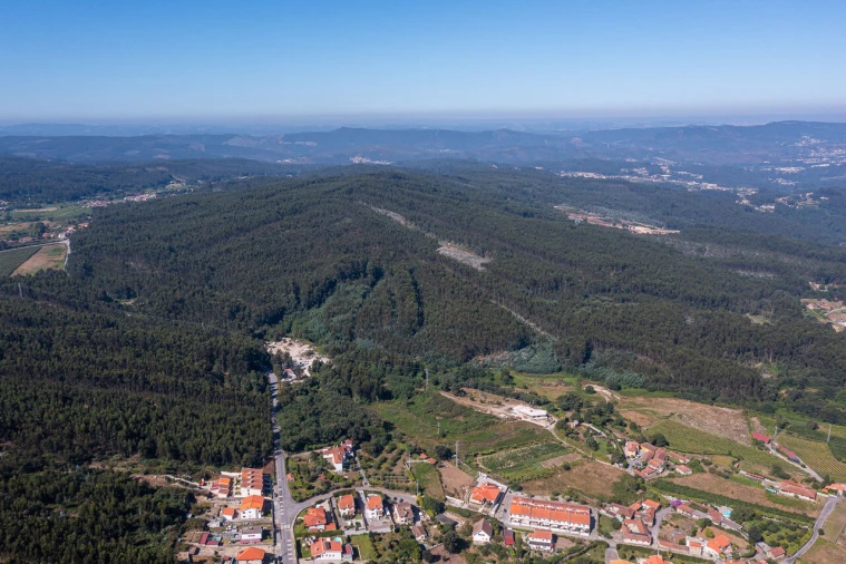 Quinta T6 para Venda em Galegos Foto 73