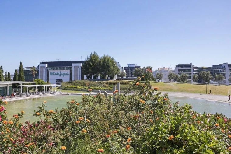 Loja para Venda em São Domingos de Benfica Foto 14