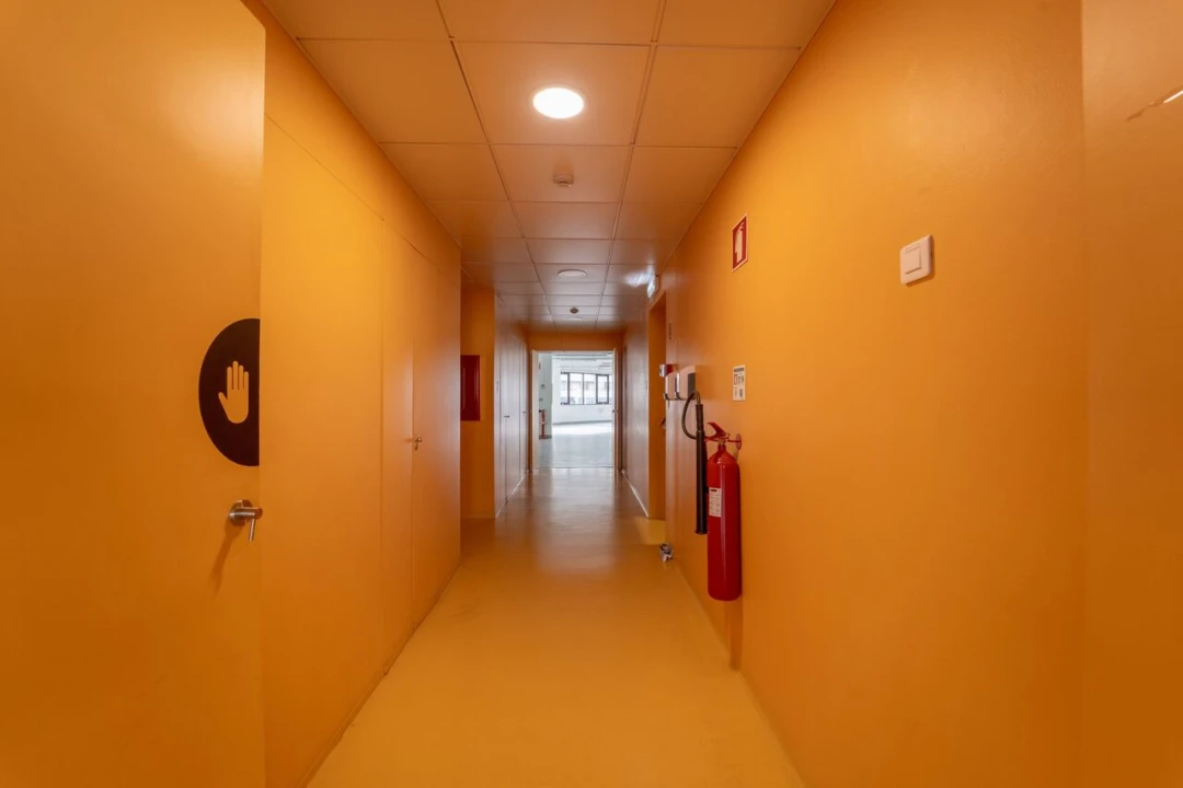 Escritório para Arrendamento em Cedofeita, Santo Ildefonso, Sé, Miragaia, São Nicolau e Vitória Foto 13