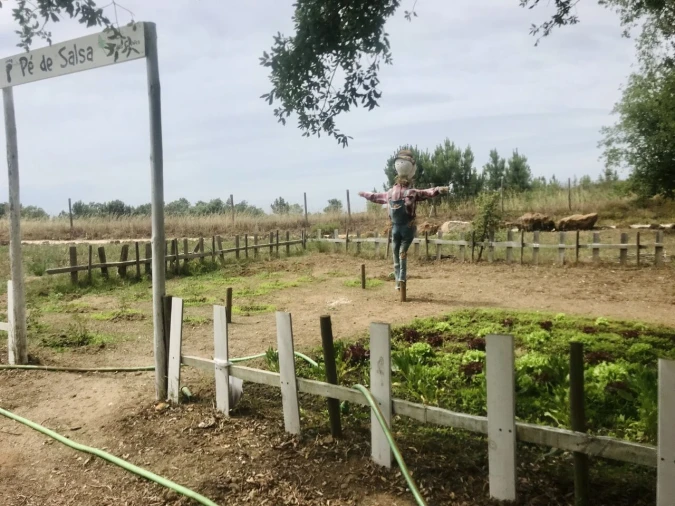 Negócio para Venda em São Teotónio Foto 42