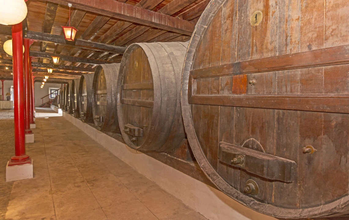 Quinta T20 para Venda em Valado dos Frades Foto 19