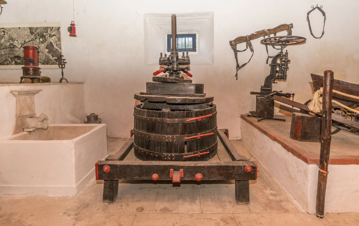 Quinta T20 para Venda em Valado dos Frades Foto 17