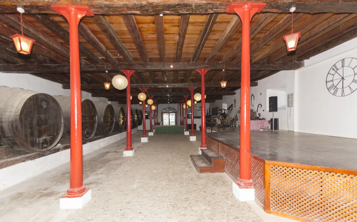 Quinta T20 para Venda em Valado dos Frades Foto 18