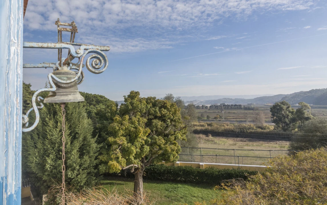 Quinta T20 para Venda em Valado dos Frades Foto 37
