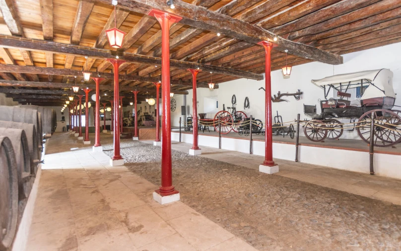 Quinta T20 para Venda em Valado dos Frades Foto 7