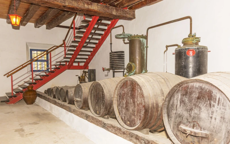 Quinta T20 para Venda em Valado dos Frades Foto 5