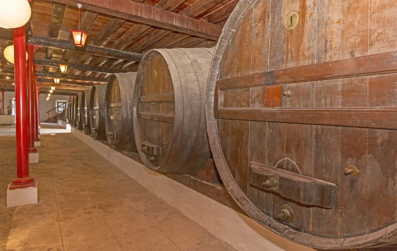 Quinta T20 para Venda em Valado dos Frades Foto 19