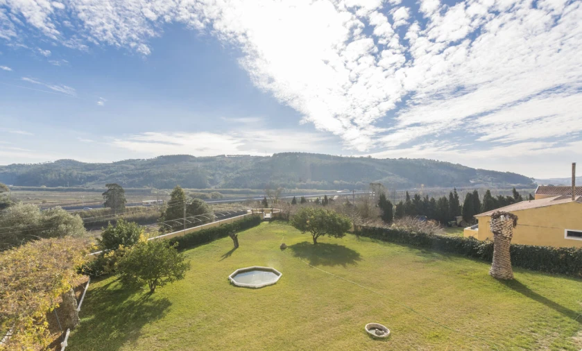 Quinta T20 para Venda em Valado dos Frades Foto 38